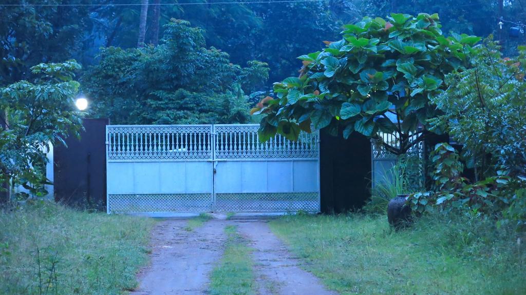 Clayfingers Art Cottage Thrissur Ruang foto