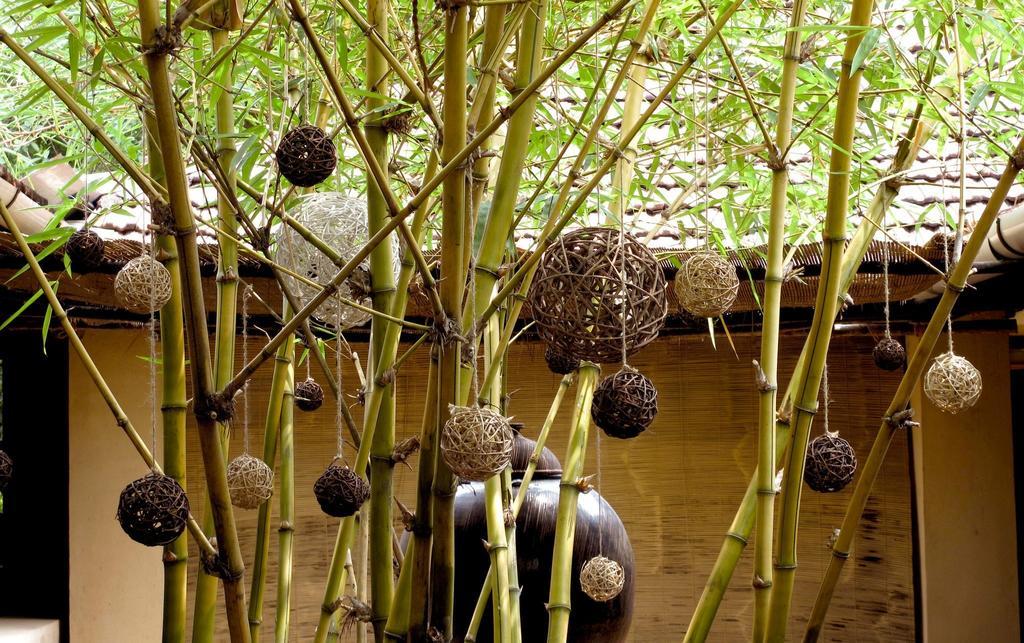 Clayfingers Art Cottage Thrissur Bagian luar foto
