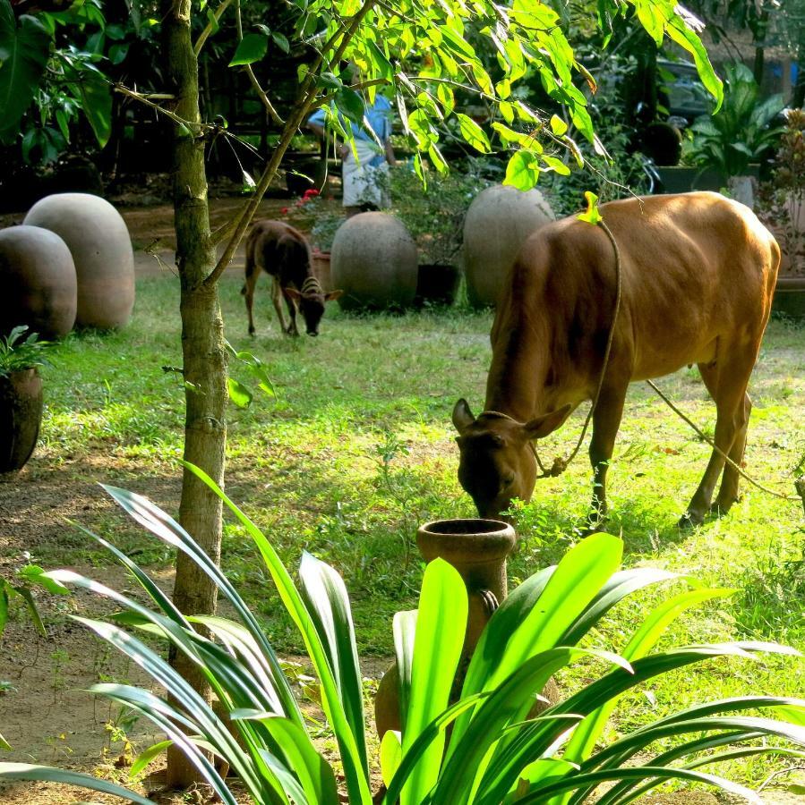 Clayfingers Art Cottage Thrissur Bagian luar foto