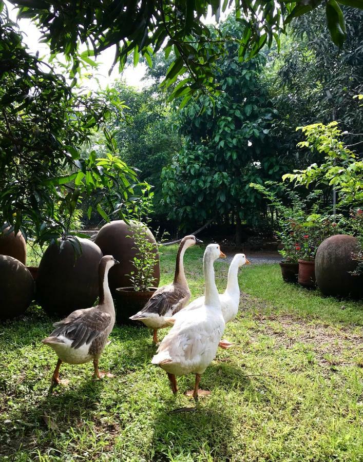 Clayfingers Art Cottage Thrissur Bagian luar foto